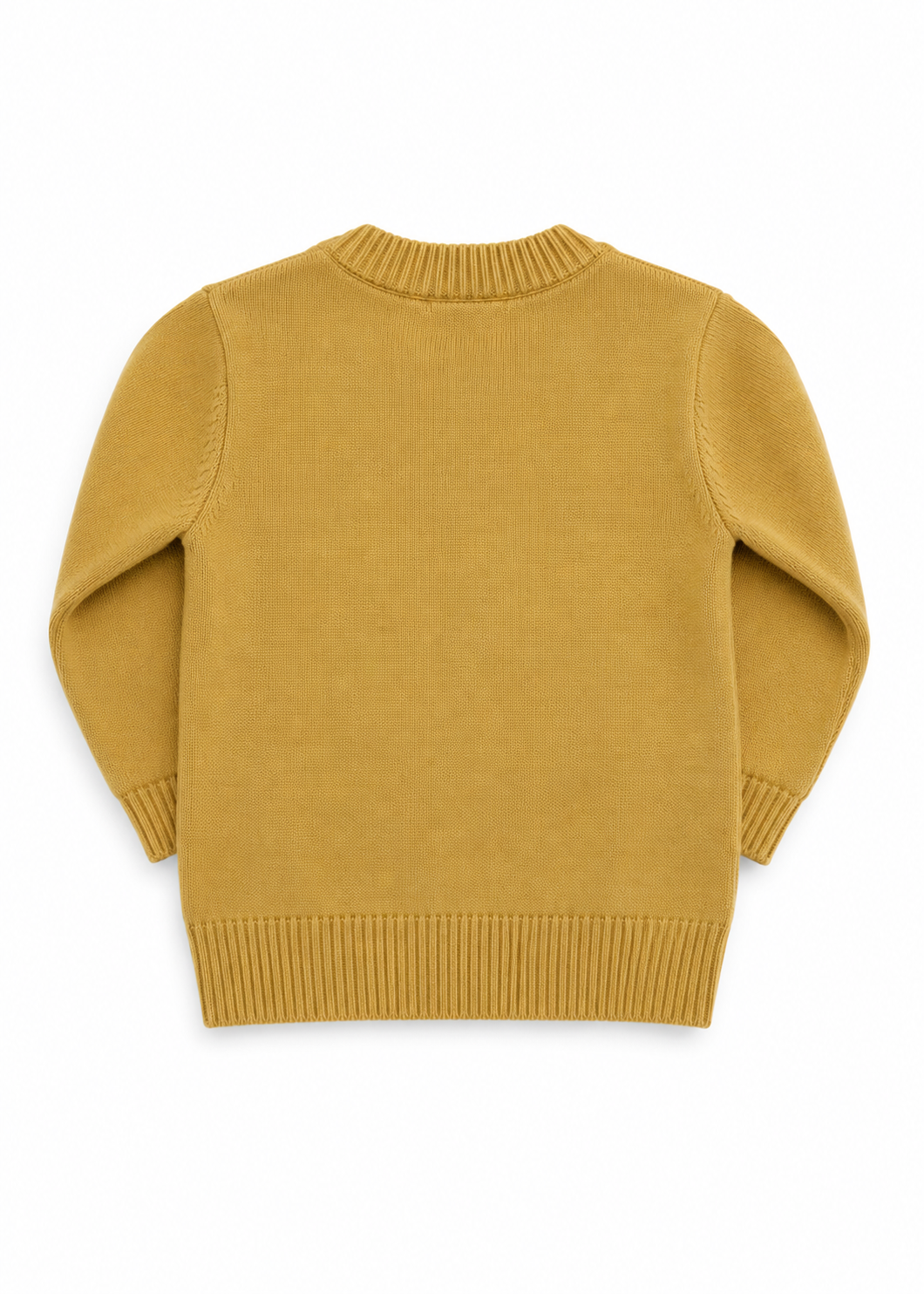 Lion Sweater