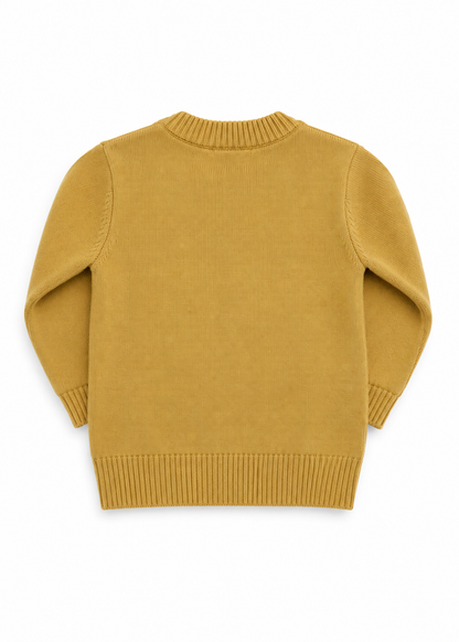 Lion Sweater