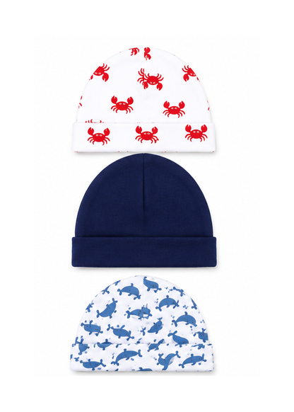 Hudson Dolphin 5 Piece Cap Set With Booties